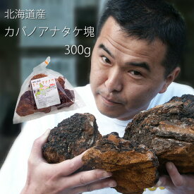 カバノアナタケ茶 塊≪原体≫300g 北海道産チャーガ茶100%≪かばのあなたけ茶≫【健康茶】樺孔茸茶 キノコジュース キノコ茶 チャーガティ 花粉症 母の日 父の日【メール便対応】
