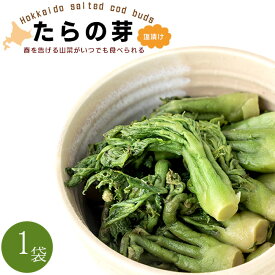楽天市場 山菜 タラの芽の通販