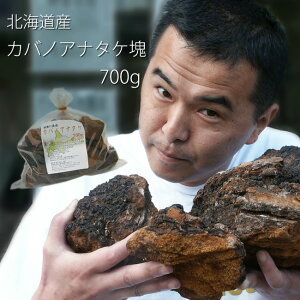カバノアナタケ茶(かばのあなたけ茶)北海道産!チャーガ茶100%!塊(原体)700g≪健康茶≫樺孔茸茶 キノコジュース キノコ茶 チャーガティ 花粉症 母の日 父の日【メール便対応】
