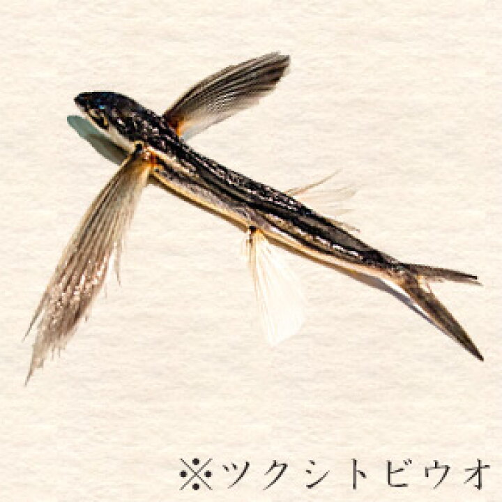 楽天市場 とび魚煮干し0g 飛び魚にぼし アゴニボシ あごはトビウオの事です 上品な出汁のとびうお 雑煮 うどん 汁物 五目御飯 茶碗蒸しに メール便対応 麺本舗吉粋 楽天支店 楽天市場 とび魚煮干し0g 飛び魚にぼし アゴニボシ あごはトビウオの事です 上品な出汁のとびうお 雑煮 うどん 汁物 五目御飯 茶碗蒸しに メール便対応 麺本舗吉粋 楽天支店