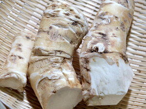 ���蘆�Ӿ�����2�ܥ��åȡ��̳�ƻ�����掠�Ӥ��礦���ҡ�