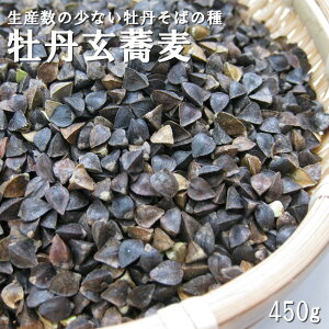 O450gڂ񂻂΂̎kCY Yʂ̏Ȃ̕i {^\o  I嗱 ƒ؉ XvEg 25ؗpy[֑Ήz