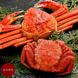 킢ɁEтɃZbg y {CYCIp {CъI z Ȉ kC\ OKj2 yԌz PKj YCKj yz