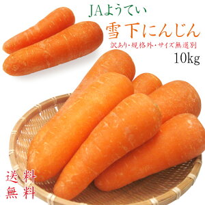 ቺɂ񂶂 10kg ytjW JA悤ĂDtjWẺlQy󂠂EKiOETCYIʁzkCcS^둺y܂葺z̉ɂ񂶂 yz 