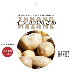 CĴ߂ 1.5kg(TCYI) py[ zkCYn 񂩂̖ڊo ÂႪ WKCyY CJ ߂߁zpotato |egyMtg  