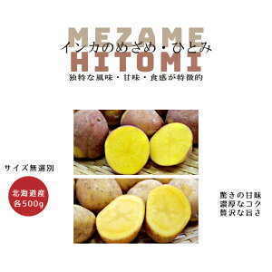 CĴ߂ CĴЂƂ v1kg(TCYI) e500g py[֑zkCY 񂩂̖ڊo 񂩂̓ ÂႪ WKCyCJ U qg~zpotato |