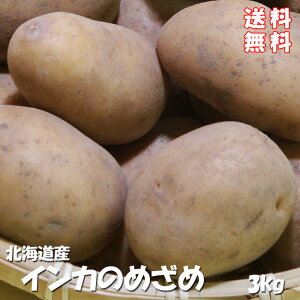 CĴ߂ 3kgyTCYIʁzkCYn 񂩂̖ڊo ÂႪ WKCykCY CJ ߂߁zpotato |egyMtg  izႪ F