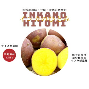 CĴЂƂ 1.5kg(TCYI) py[ zkCYn 񂩂̓ ÂႪ WKCykCY CJ qg~zpotato |egyMtg  