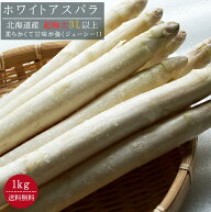ホワイトアスパラガス超極太【3L以上、1kg】送料無料！北海道産 ※5月上旬頃より収穫次第順次発送