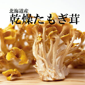  12g kCŶỹLmR ^M^PzNLmR ̂ H@ہE~lLx ^M_P GS`IlC قy[֑Ήz