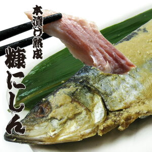 {Ђnfɂ 1×2 yhʂׁz]ˎ̐@Č{ih̓ЂjVyz