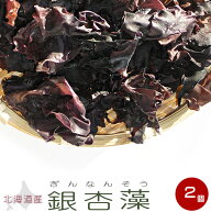 銀杏藻 35g ×2袋【ぎんなん草】銀杏草 天然 北海道産【仏のみみ 福みみ】ぎんなんそう 希少な逸品【味噌…