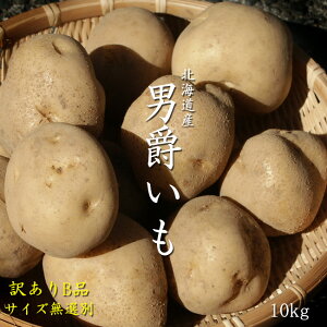 j݂y󂠂BizkCYႪyTCYIʁz10kgkCsEjZRYقWKC□͐Kiƕς܂yzAI