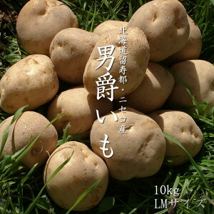 j݂ kCYႪyLMTCYz10kgkCsEjZRYWKC󂠂ł͂܂ႶႪyzAI