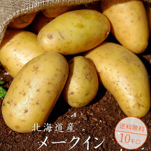 [NC10kgykCYzCNC [NC[y򕔒ˁzϕꂵȂႪyJ[EV`[EO^EႪzWKC CNC[yגz|eg May Qu