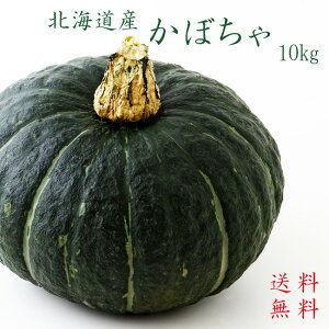 ڂ10kgy4`7ʁz zNzNÖ̂ZyJ{`zقEȂǁyzkCYڂၦAI