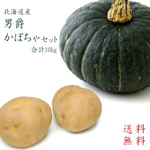 j݂&ڂykCYقAkCYȂǁzZbg v10kgVႪkCYႪyzAI