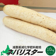 ネバリスター 10kg【Lサイズ】北海道特産品の長いも 長芋と山の芋を掛け合わせた 通常の長芋の2倍以上の…