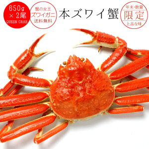 YCKj 650gO×2y킢Ip v1.3kgOz 󂠂ł͂܂I킢I ^̃YCɁyʌ̃Jjzɂ̏YCIyʖtKjziȊI̐gƃJj