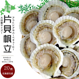 kCY قĕЊL 10 ×2 Mpz^eLykCYzgp yЊL z^ezAEghA o[xL[ YΏāyz