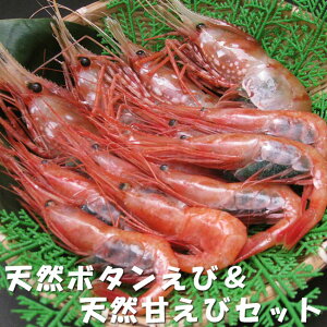 天然ボタンエビ500g【Lサイズ】&天然甘エビ500g【LAサイズ】セット【大特価】【セール品】【牡丹えびと甘えびのセット】お刺身で食べられる新鮮な牡丹海老≪ぼたんえび≫と甘海老≪あま