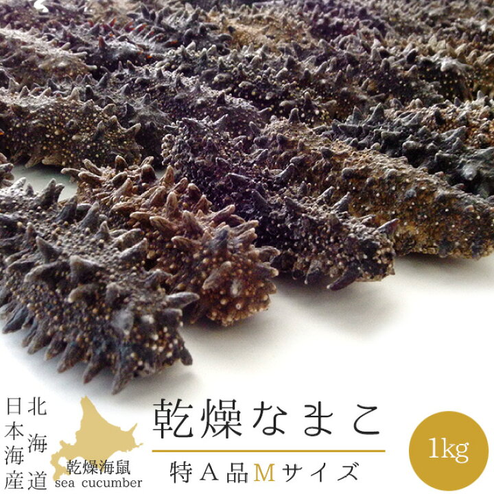 楽天市場】乾燥ナマコ Mサイズ 特A級品 1kg【特Aランク 北海道産 