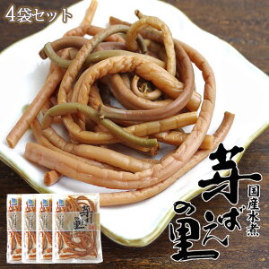 ܂ 56g×4܁yY܂ρzy΂̗zRRƂHƃNẐȂ킢[}CłByRؐ R Nzт̂A̍AA݂`̋ɂ