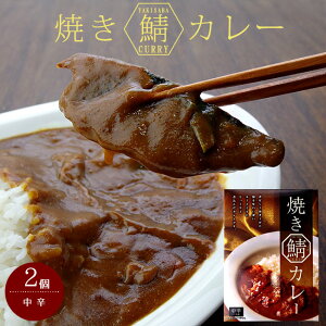 �Ă��I�J���[ 180g ×2�� �y�T�o����[ saba Curry�z�ĎI �V�[�t�[�h�J���[ �y���g���g �퉷�ۊǁz�ύ��� ���h �����n ��ؓ��� �y���[���֑Ή��z