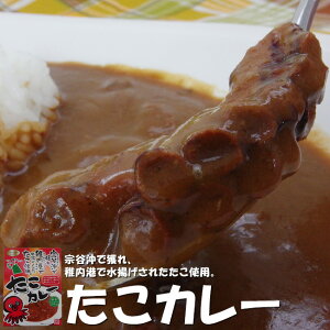 J[×2ZbgkCYgp@JŊlAt`Őgꂽ^RgpJ[łB̎|悭no킢[J[𐥔AܖBnJ