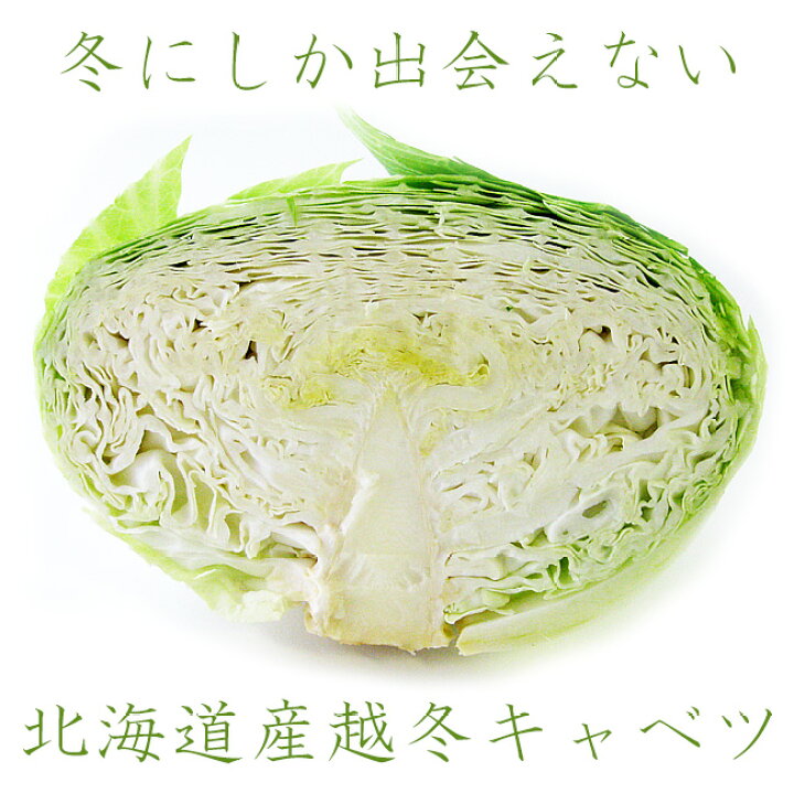 楽天市場 越冬キャベツ10kg 北海道特産品 北海道産越冬きゃべつ 和寒町 剣淵町 甘くシャキシャキの歯応え 北の大地ワッサムとケンブチ 越冬甘藍 送料無料 えっとう玉菜 わっさむ けんぶち 麺本舗吉粋 楽天支店