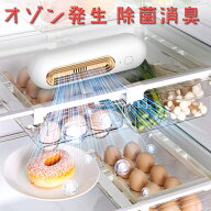 冷蔵庫オゾン脱臭機 除菌消臭 農薬除去 清浄機 空気消臭 ミニUSB充電冷蔵庫消臭器 簡単に設置 活性炭交換…