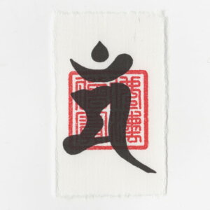 J^ 아 iFyFz ق̊w̓AbvŎ󌱍i̋͂Ȍ아