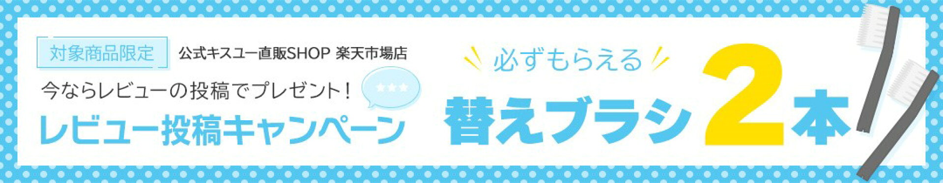 レビューキャンペーン替えブラシ2本プレゼント