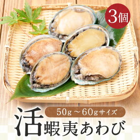 活 蝦夷 あわび 50g-60gサイズ 3個入り 蝦夷あわび 蝦夷アワビ 高級食材 五つ星高級旅館用達 送料無料 アワビ 鮑 訳あり 活アワビ 活あわび 活きアワビ 活きあわび 海鮮丼 ご自宅ねた bbq バーベキュー 海鮮 食品 お取り寄せ 内祝い 出産内祝い