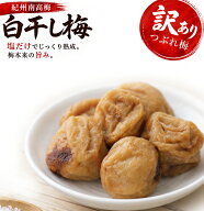 無添加 紀州南高梅 白梅干し 500g ＜訳あり つぶれ梅 / ガリ梅 ＞塩分20％の昔ながらの梅干し(白干し)(和…