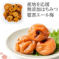 【送料無料】2000円ポッキリ～ 無添加 梅干し 訳あり 紀州南高梅 雹害ひょう害エール はちみつ梅 塩分6％…