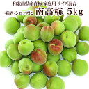【発送不可地域:北海道・沖縄・一部離島】【前予約商品5月下旬から6月にかけて順次発送予定(指定不可)】【送料無料】紀州の里本舗 【梅酒用】紀州南高梅 青梅5kg...