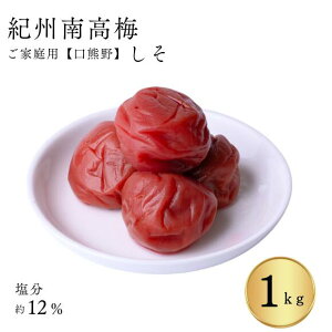 IB썂~ ƒpuƒ̐HɖA~vF삲ƒp~~1kg MǑ΍ ~   O  ~ 썂~ ߂ڂ  ~ MǑ΍
