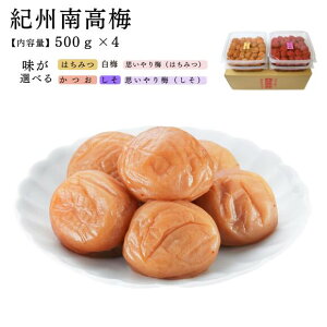 ƒp Iׂ邨 IB썂~lC̍Fyƒpz500g^Cv@킢500g×4 IBY썂~gp MǑ΍ ~   O 썂~ ߂ڂ 