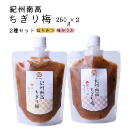 ギフト 紀州南高 ちぎり梅 2個セット 250g×2(はちみつ・梅かつお) ねりうめ 練り梅 熱中症対策 梅干し うめぼし 種なし 梅肉 チューブ お取り寄せ グルメ 紀州産南高梅使用 調味料 送料無料