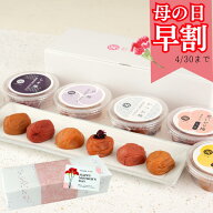 ＼ 4/30まで特別早割10％OFF！母の日用包装＆ メッセージカード付 ／贈り物 ギフト 紀州南高梅 熱中症対…