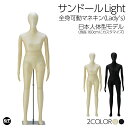日本人体型カスタマイズモデル 全身可動マネキン サンドールLight フレキシブル関節 レディーストルソー ウレタンボデ…