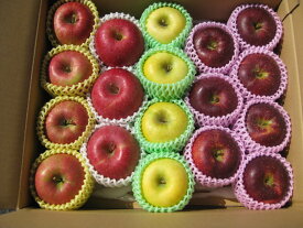 2025年産 園主お勧め2〜8品種詰め合わせ「信州産 旬のりんご 」中級ランク約4.5〜5kg（10〜20玉）【送料無料（一部地域は有料）】掲載画像は一例（イメージ）です。大きさ・個数・品種などは園主お勧めのパッケージ品となります。お歳暮 敬老の日 母の日 ギフト プレゼント