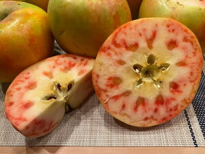 MBY@Y_ƒ _͔| u[[WvGijN2.7`3kgi5`11ʁjyiꕔn͗Ljz@n1110߂珇\IlC̐ԉʓ