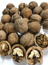 信州産 殻付き菓子クルミ「信濃クルミ」 約450g（約30〜50個くらい）【送料無料（一部地域は有料）】※自然の産物なので，サイズは大中小，不揃いとなります。割りやすさ（硬さ）と，中身の取り出しやすさも，必ず個体差がありますのでご了承ください。