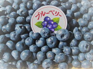 長野県産 冷凍ブルーベリー 約1kg 前後（950g～1050g） 主にジャム作りや、シャーベットに最適な【冷凍品…