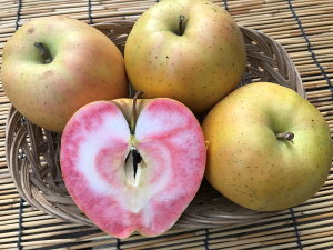 MBY@Y_ƒ _͔| uȂ̂̂߂Tӂv~bNX ƒ 10`25ʁ@4.5`5kg/@2i킪y߂ZbgIHOKłAWEW[XE񂲃o