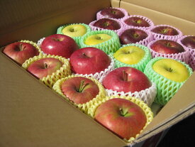 2025年産 生産農家直送 園主お勧め2〜8品種詰め合わせ「信州産 旬の訳ありりんご 」自家用ランク約4.5〜5kg（10〜23玉）【送料無料（一部地域は有料）】お歳暮 敬老の日 母の日 フルーツ ギフト プレゼント