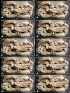 RCJZbg@1pbN150g@ނa@a@Dނ@ނ@hgނ@^@@ꕨ