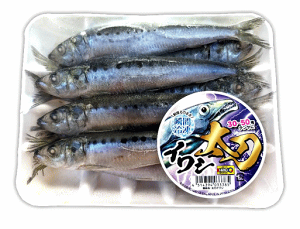 CV10pbNZbg@ނa@Ⓚނa@^`EIe@^`EI@Dނ@hgނ